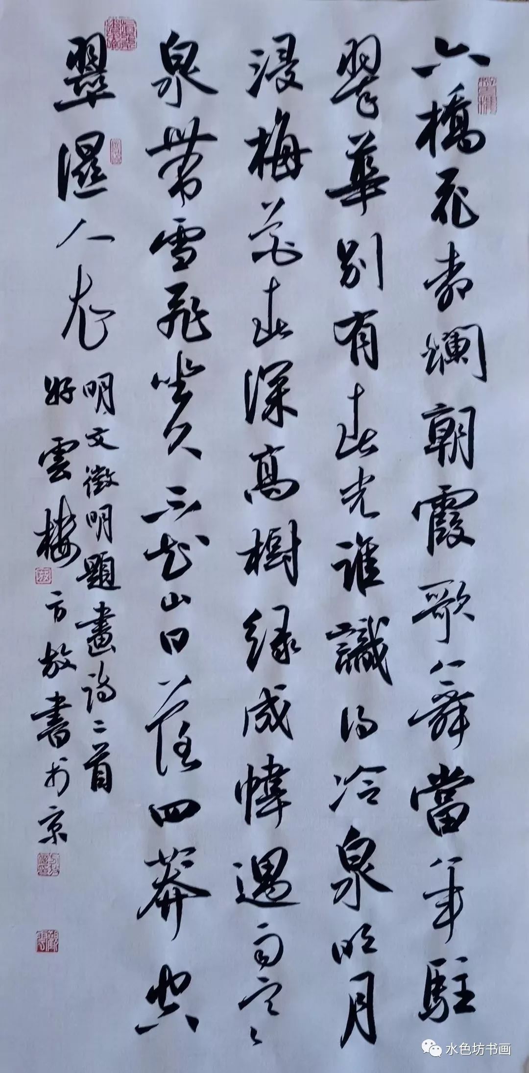 书法家专栏│方放清华才女气质优雅字如人