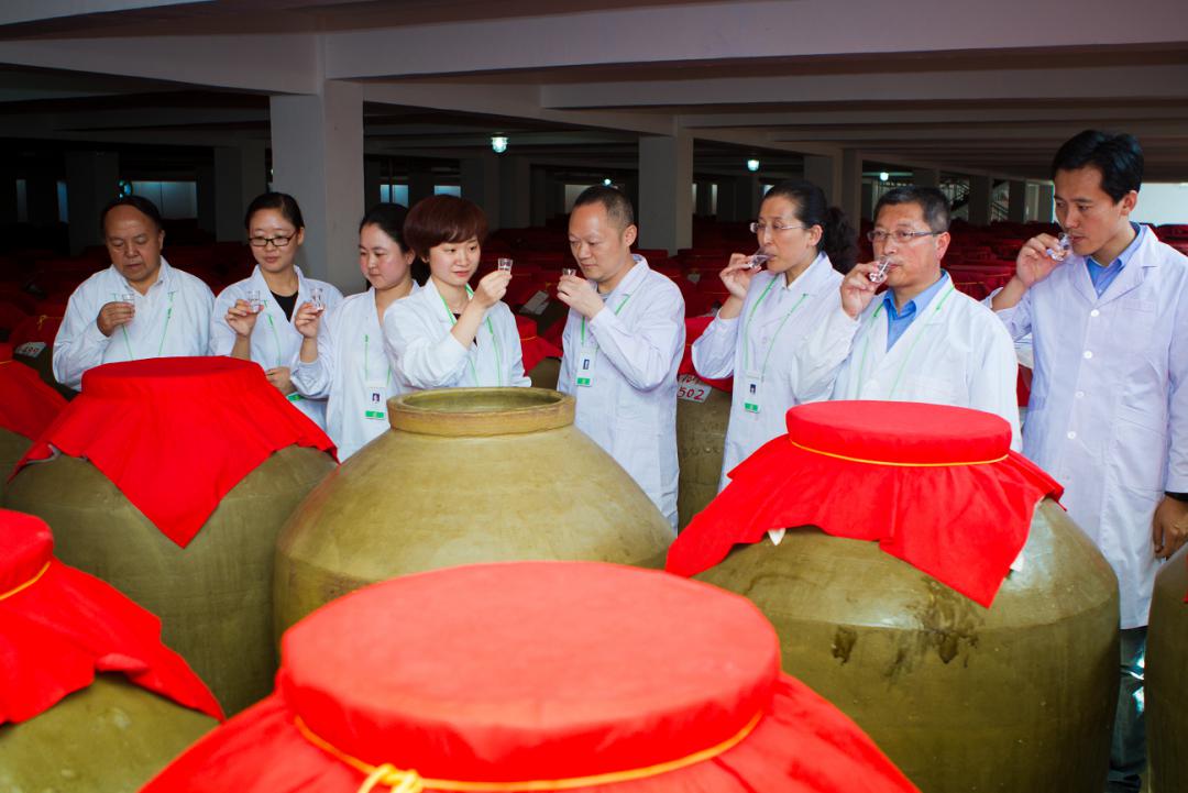 深耕西北,精准营销,金徽酒的"二次创业"初显神力!