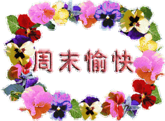 328_240gif 动态图 动图