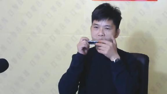 1429浪漫草原最美草原歌曲王辉口琴演奏