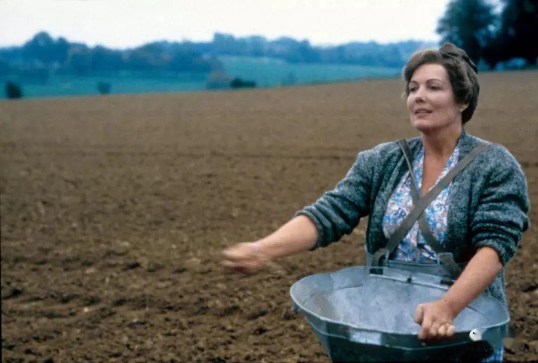 安东尼娅家族 antonias line(1995)导演: 妮可·哈罗芬瑟77.