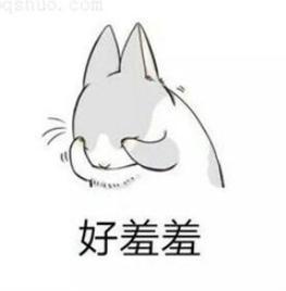 由小美满验证了狗死的时候没有一对情侣是无辜的