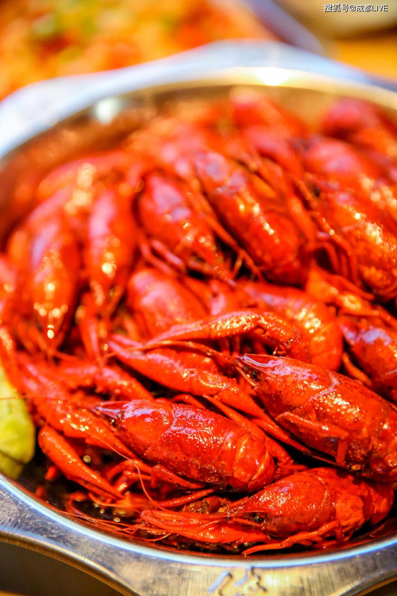 靠一盘卤煮小龙虾火了11年成都这家龙虾馆里有太多人的回忆