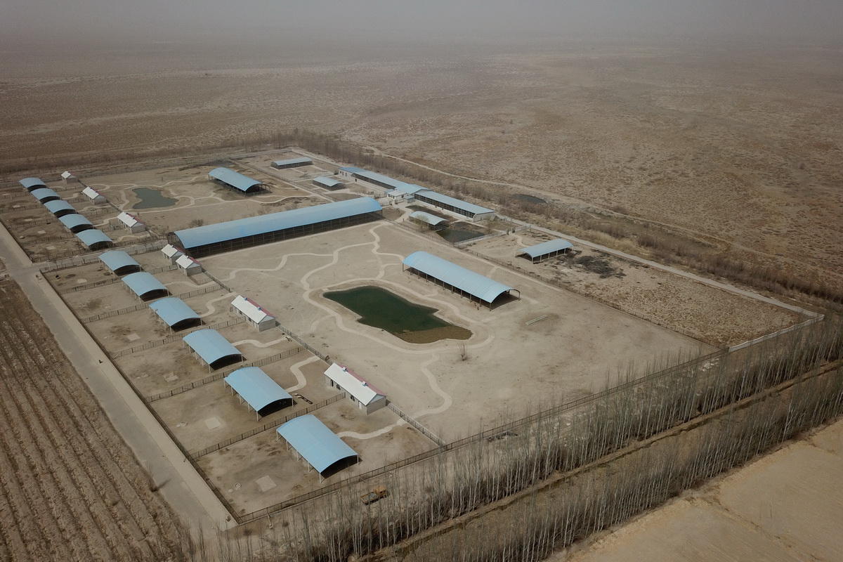 甘肃阿克塞野生动物救助站积极开展野生动物救助工作