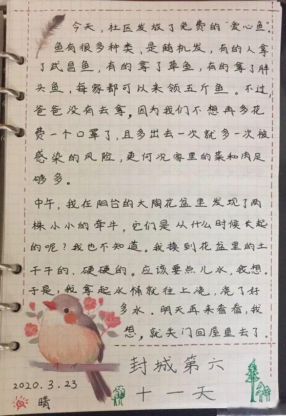 少年战疫陈一凡我的封城日记二十