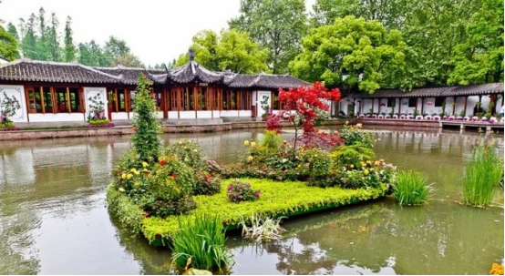 生态浮岛植物