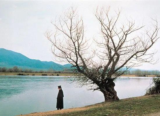 场跨越时空的旅行点击空白处查看答案《未来的未来》15"屁股在树上呢"