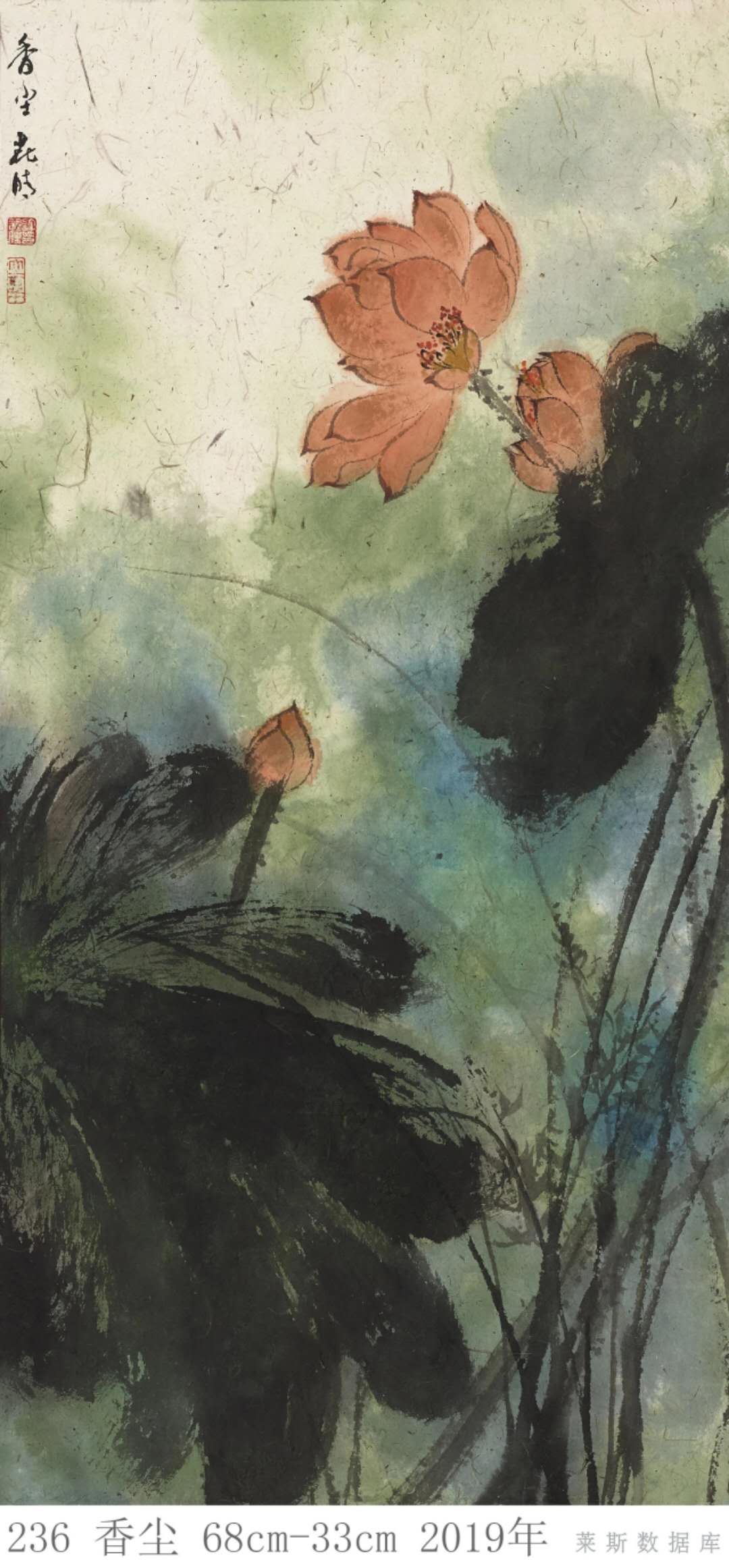 许丽晴泼彩荷花欣赏