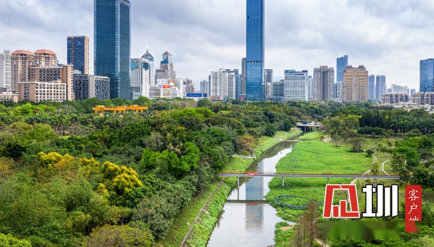 深圳最美的12个亲水打卡地都给你安排好了