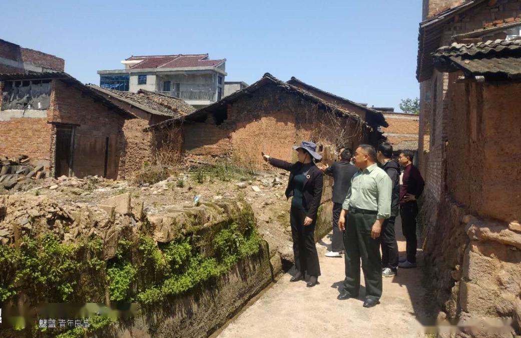 3,4月16日,沙田镇陶艳青镇长带领分管领导及新农村建设,国土资源所