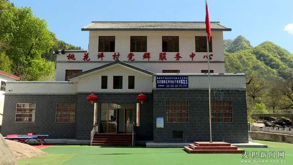 决战决胜脱贫攻坚东岔镇桃花坪村一个贫困村的华丽变身