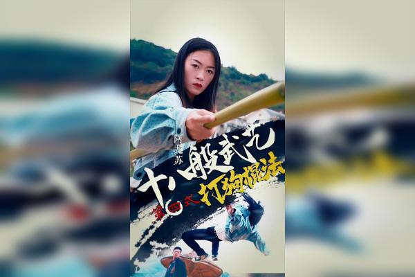 天才宝宝与阿龙苏十八般武艺之打狗棍法王家帮阿强正能量