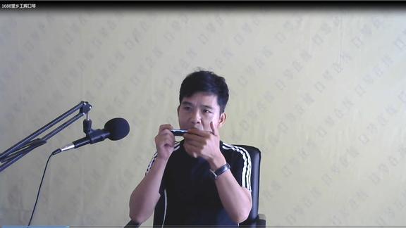 1688望乡王辉口琴演奏送给离家在外人们