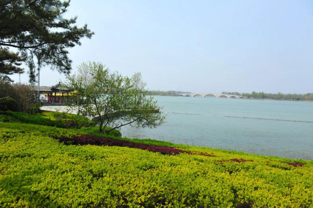 【美哉】春天来了,多条自驾路线游济阳