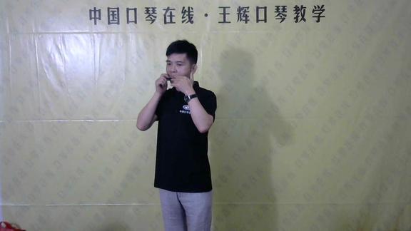1836红色经典歌曲我们走在大路上王辉口琴演奏