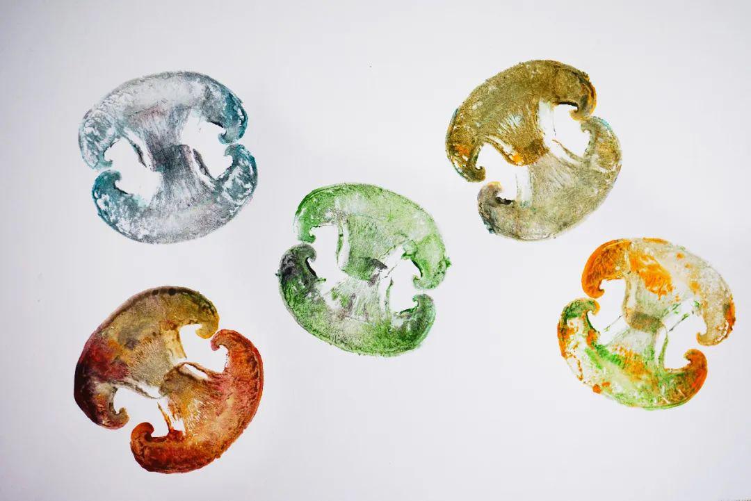 家里的自然课(二十三)▏解锁超好玩的蔬果拓印画!(下)_杨桃