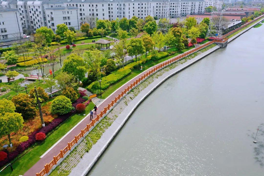 通过改建防汛墙,种植沿岸绿化等措施,极大地改善了河道环境面貌