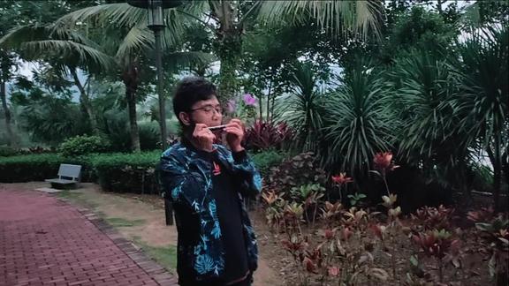 2101酒醉的蝴蝶王辉口琴演奏