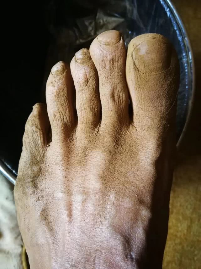 "4月10日,丽江种子站长芮体江在朋友圈这样写道,配图是一盆满是泥沙的