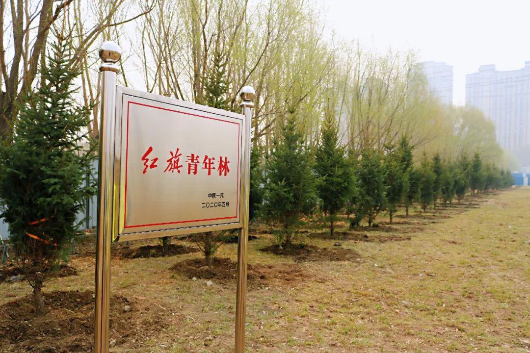 红旗青年林礼赞美丽中国