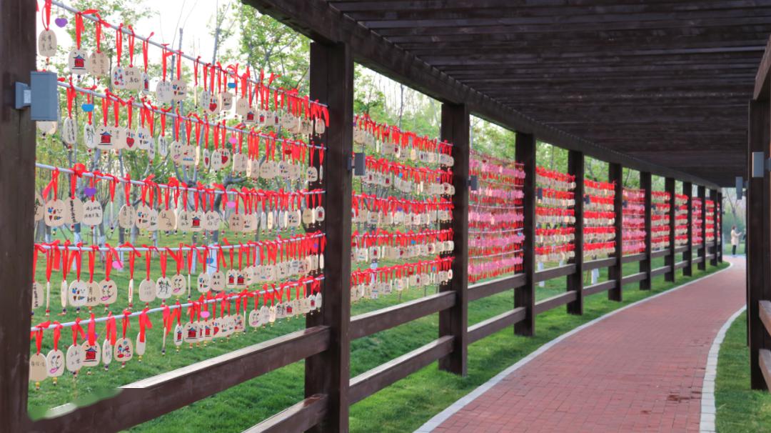 樱花季来自最美告白胜地的一份浪漫攻略