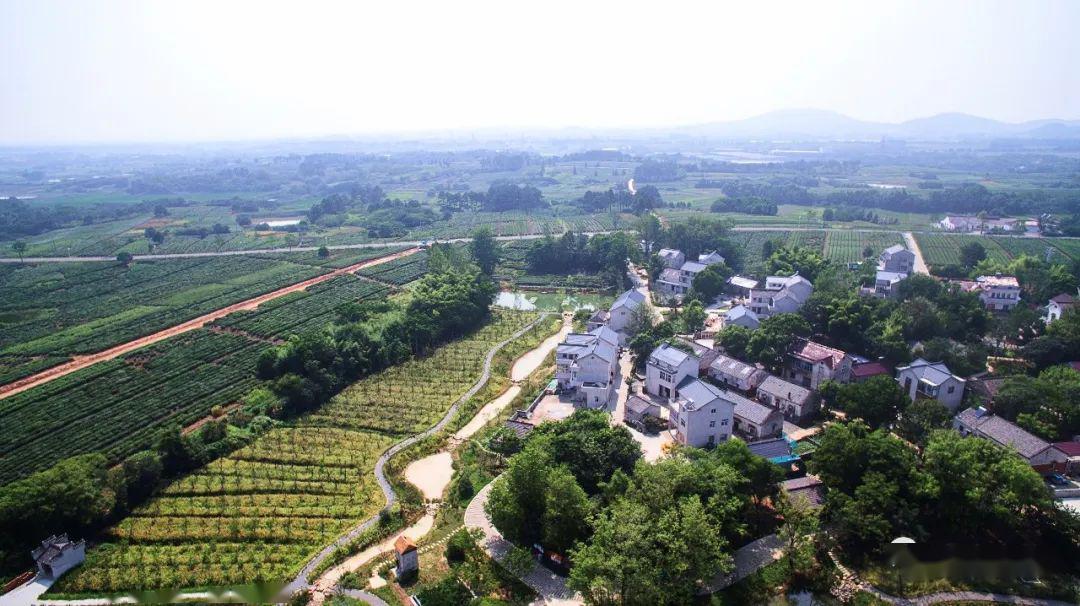 村地处东坝街道游子山行政村,区域内有小茅山村,小茅山脚村,周泗涧村