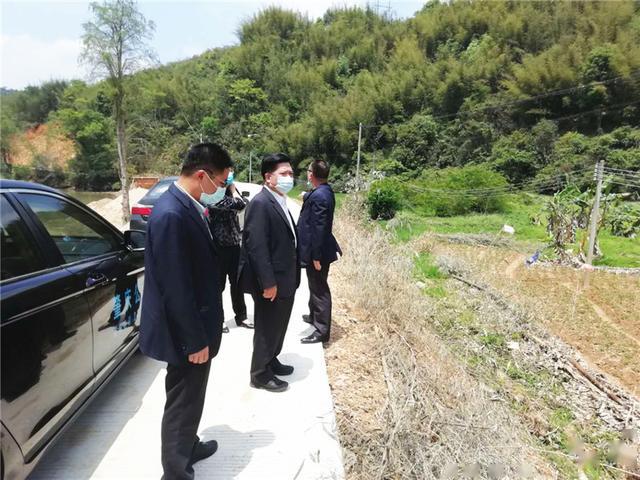 市政协党组成员谢锦文深入广宁县螺岗镇群力村调研