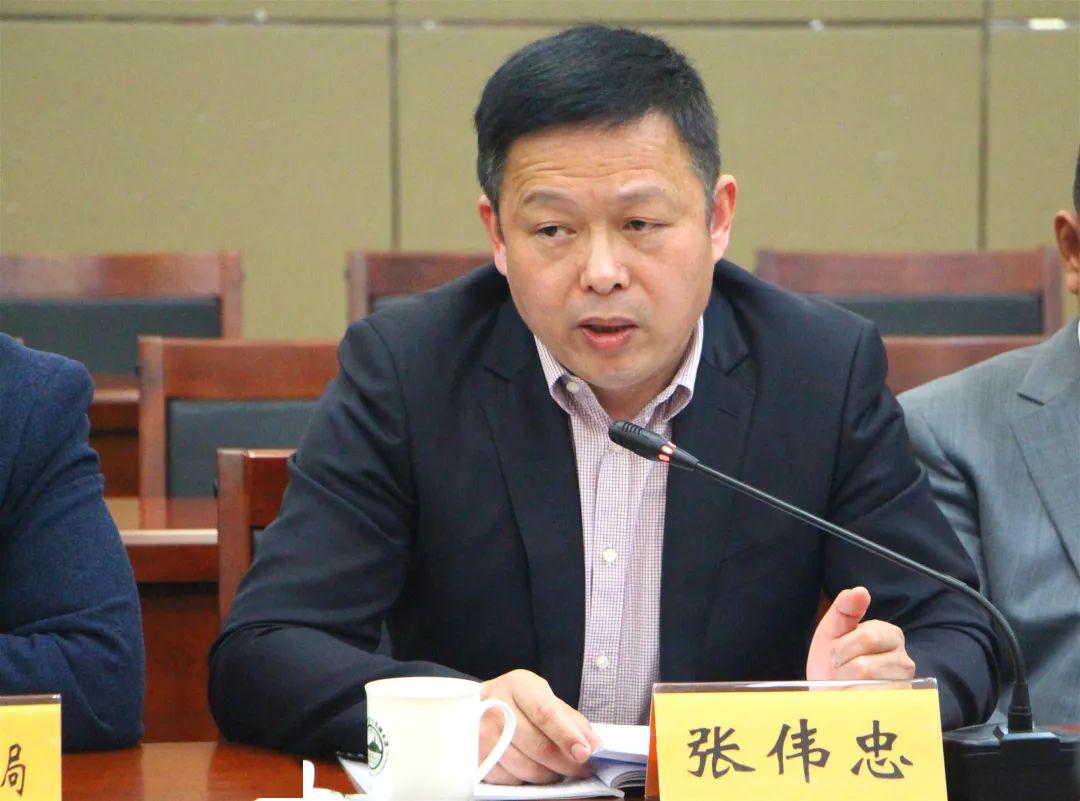 把脉问诊建言献策木渎镇人大调研全镇集体经济发展