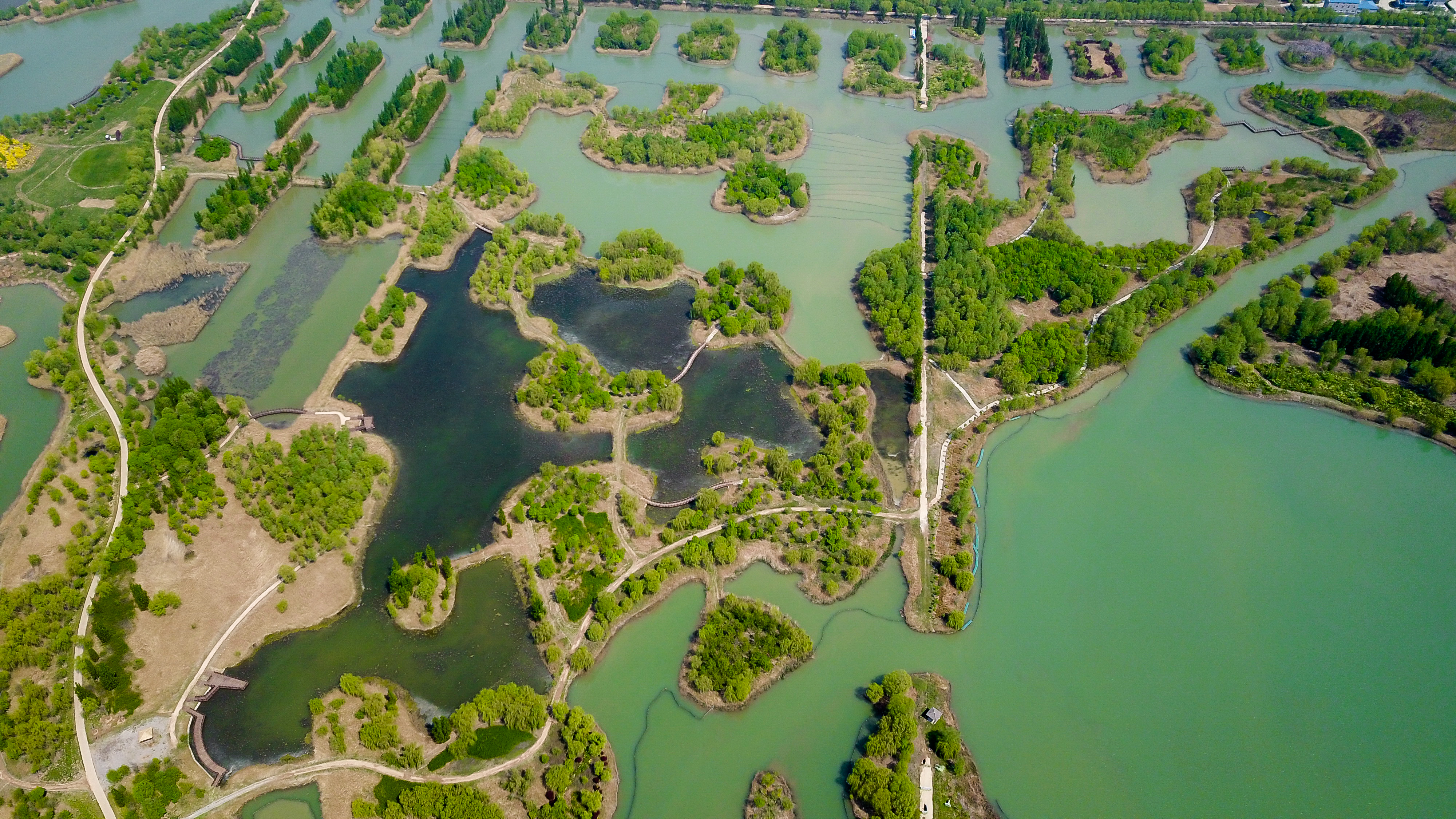 济南美里湖湿地公园图片