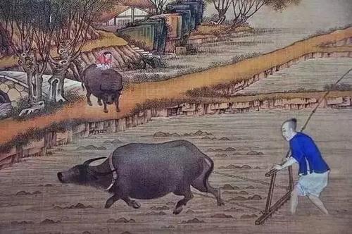 处于东方的中国文明是农耕文明,农耕文明的特色是自给自足的小农经济.