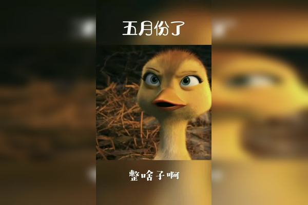 作品推广搞笑视频五月份了打啥子工嘛反正都是穷还不如穷的舒服点