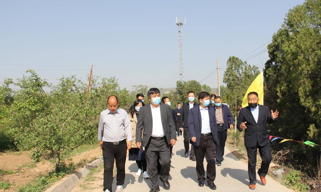 部部长石雨同志来我办杜堡村芝樱花海园区实地查看,办党委书记白建峰