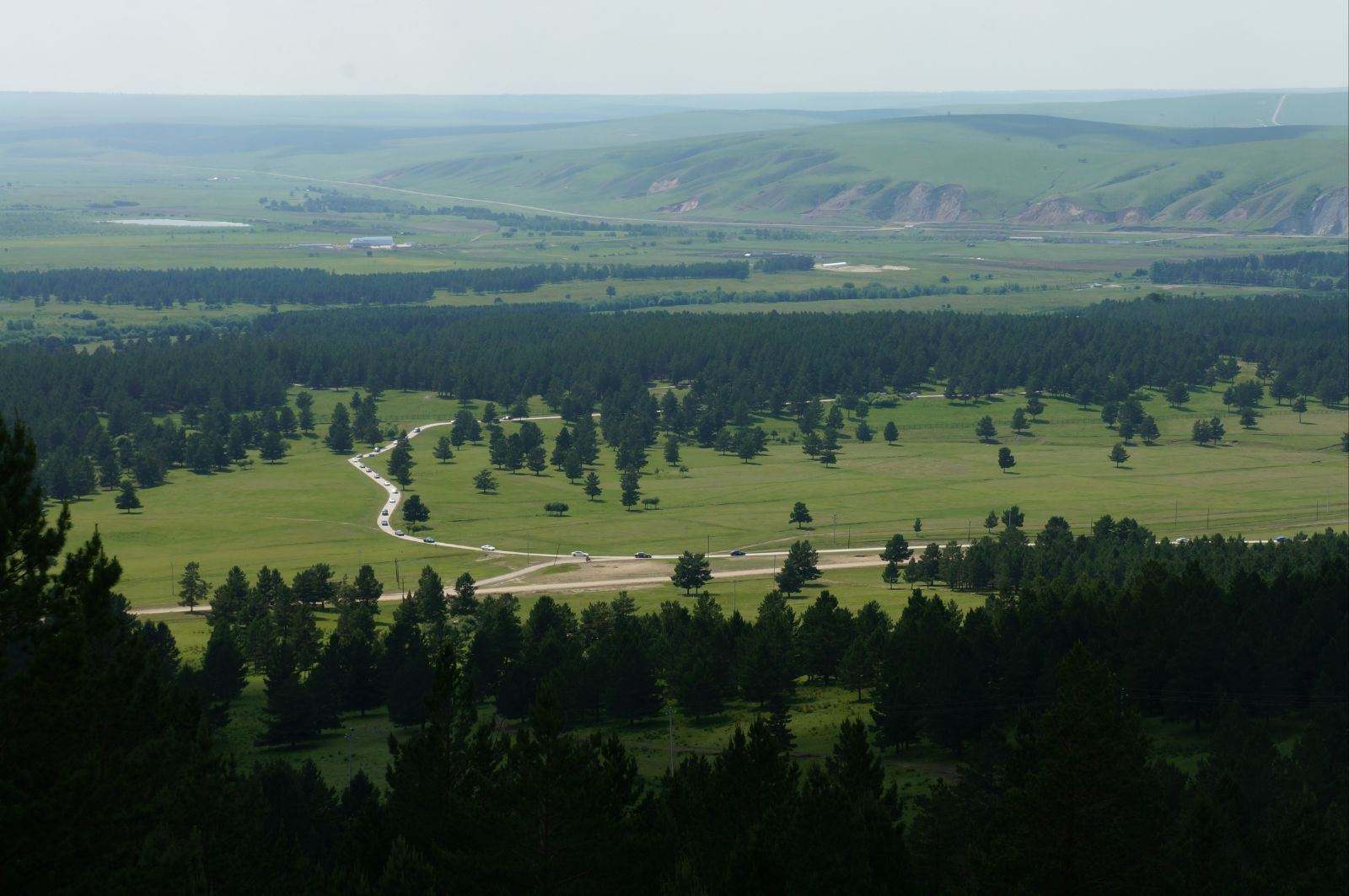 亚洲最大的樟子松林位于内蒙古红花尔基樟子松国家森林公园