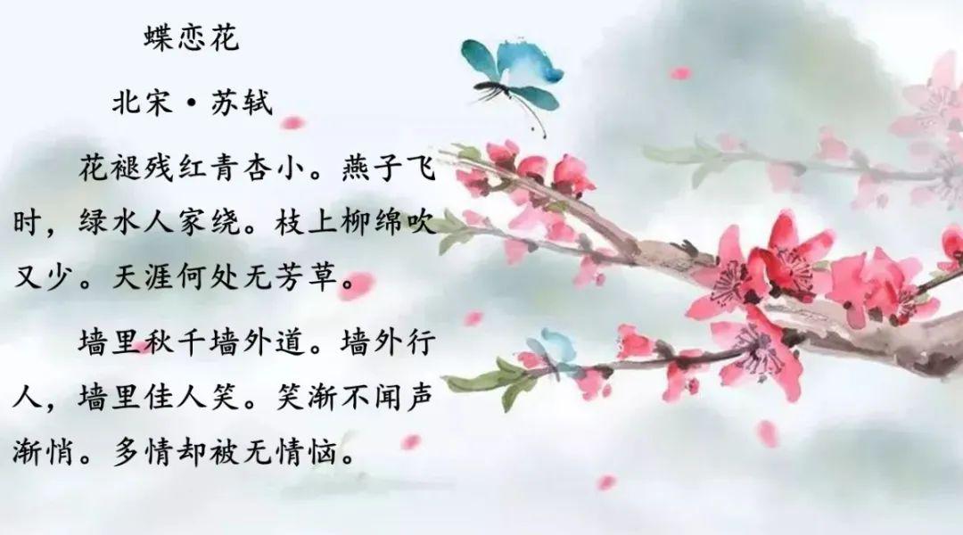 "子规啼血"这一典故在古诗词中经常出现,千年万代子规啼声不改,痴痴啼