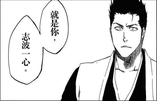 冬狮郎的上任队长,四大家族志波一族原名志波一心,黑崎一心真正身份