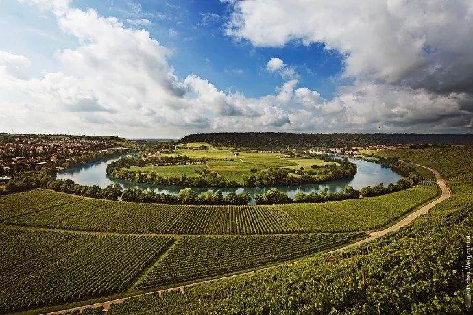 微醺周末云游德国知名葡萄酒产区
