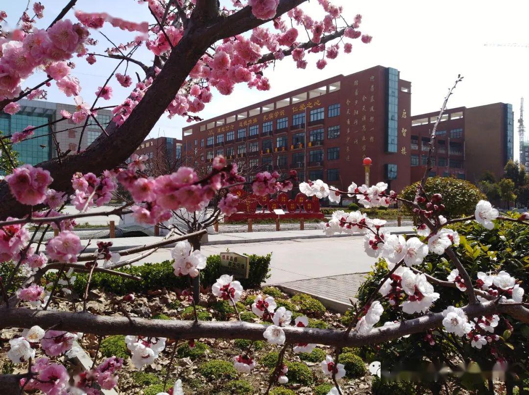 来源:长葛市第一高级中学