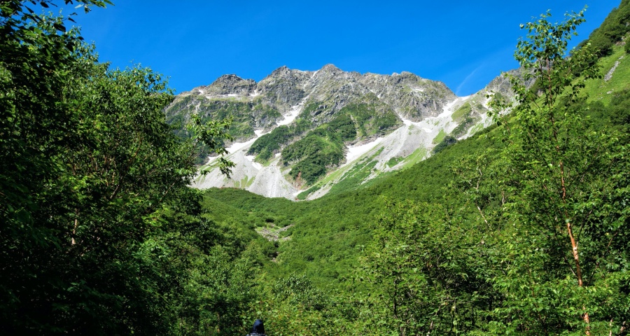 健康不是家电厂商的救命稻草，更不是市场“万金油” ，别囤货！-家电圈官网