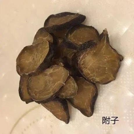 (2)此外,附子,川乌,草乌等毒性强的药物,宜先煎40～60分钟后再下它药