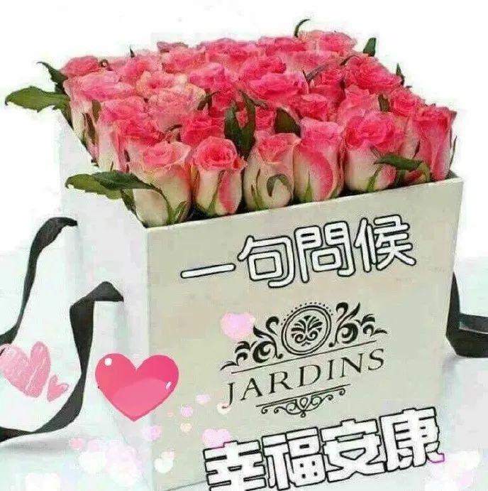 2020最新版早上好问候语录图片带字温馨早晨好问候暖心祝福图片