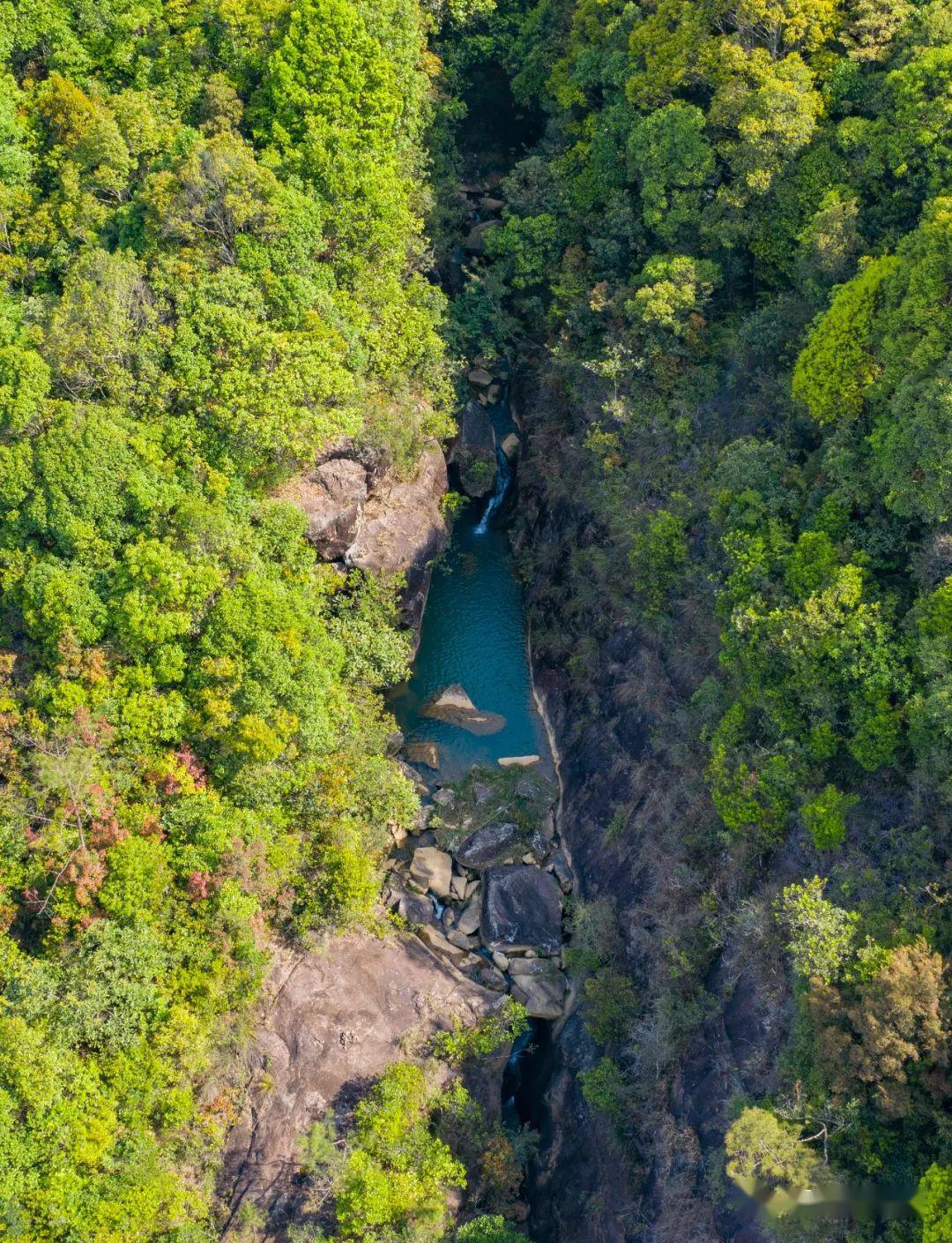 白水磜,普通的地方名,地处凤凰椿堀村后山,与饶平相接,和胜利水库相