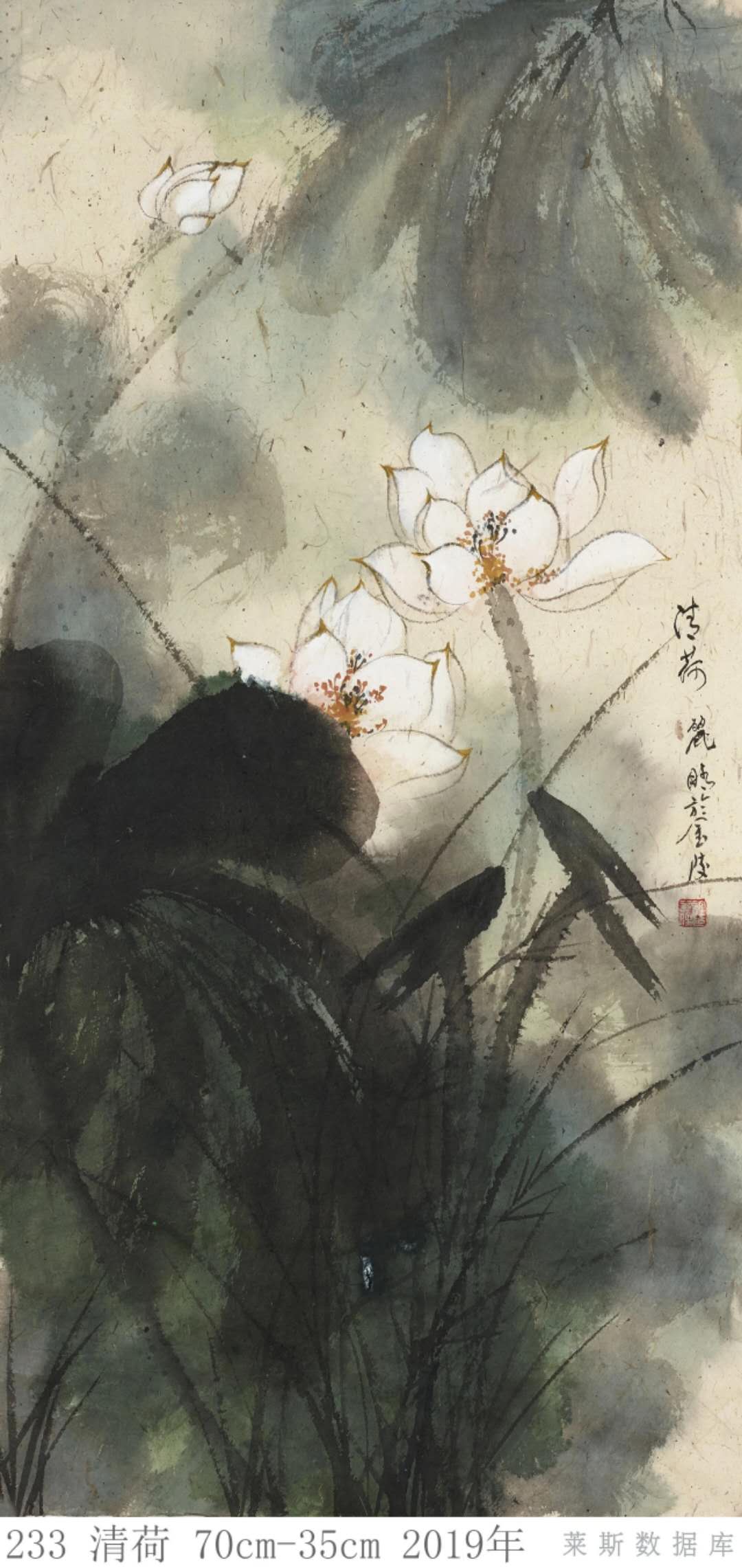 许丽晴泼彩荷花欣赏