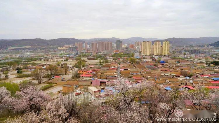 登康乐辛家集阳洼山,欣杏花览康乐县城