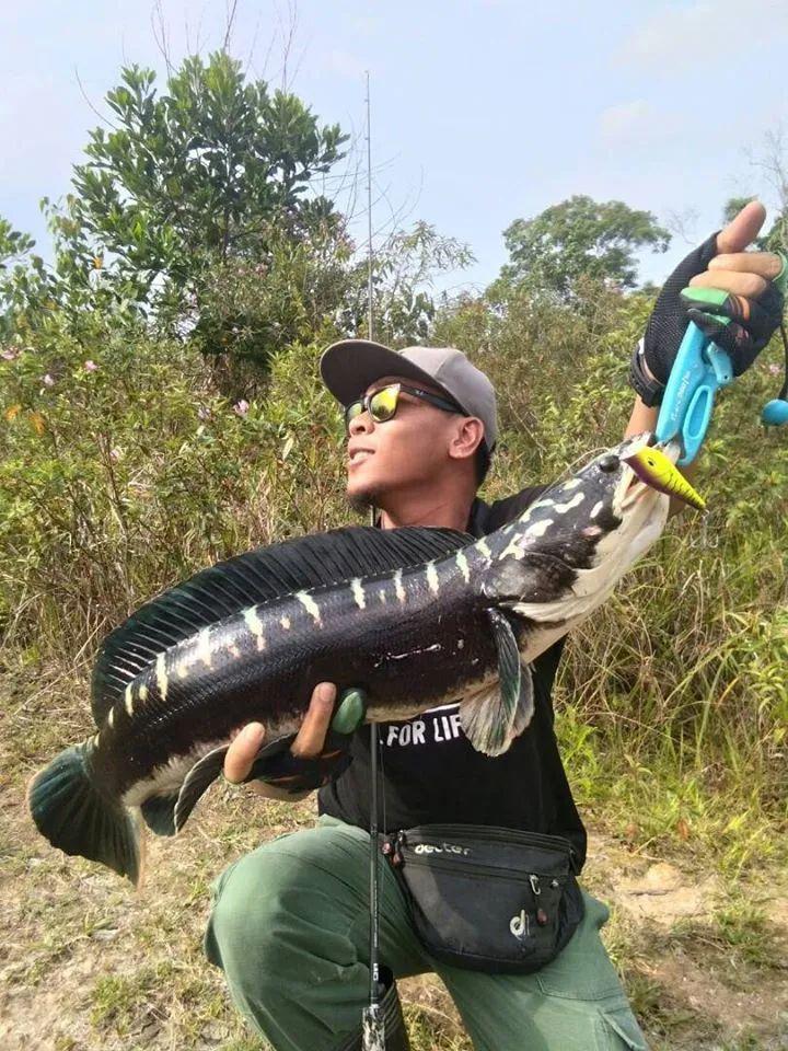 【新品】阿布加西亚火箭波爬,全水域覆盖超远投水面系拟饵!