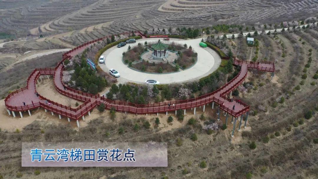 分别是悦龙山赏花点,金鸡坪梯田公园赏花点,贞爱花峪赏花点,莲