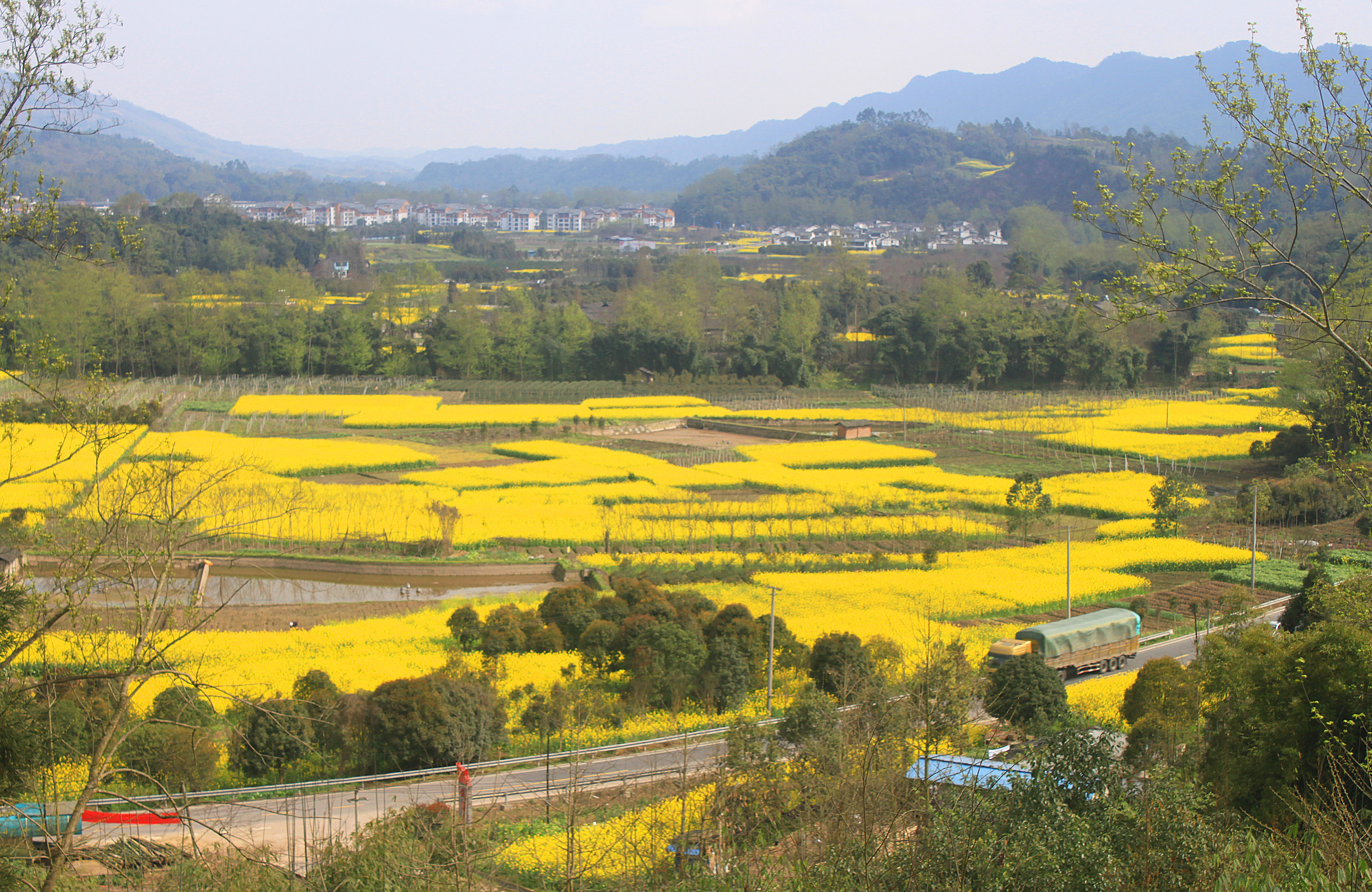 乡村田园春天图片大全图片