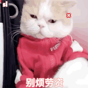 来康康敲搞笑表情包