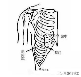 期门(肝之募穴)定位:乳头直下,第6肋间隙,前正中线旁开4寸.