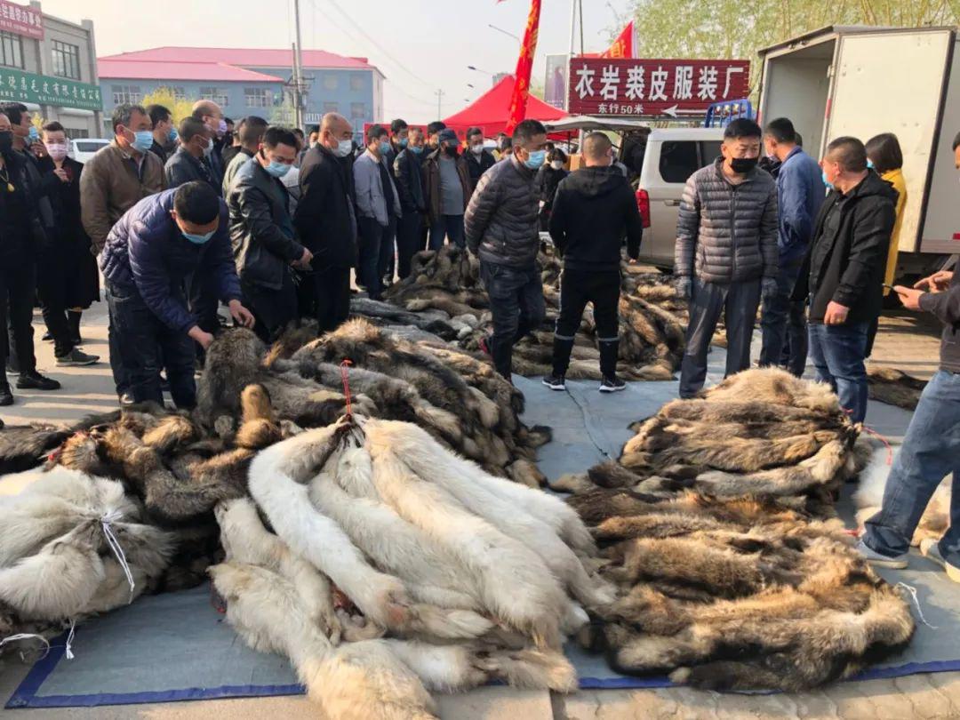昌黎皮毛交易市场迎来首集开门红