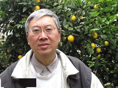 经典悦读171徐贲用脚后跟想的犬儒主义